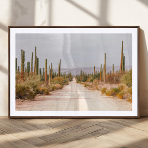 Desert Cactus Lined Road Wall Art Canvas Print – Framed