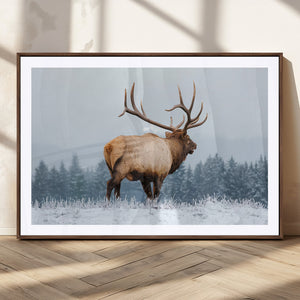 Elk Wall Art Canvas Print – Framed Snowy Forest Scene Art