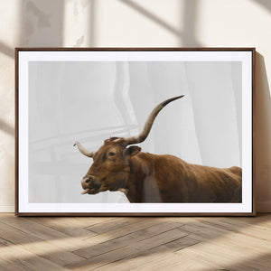 Longhorn Cow Wall Art Canvas Print – Framed Rustic Animal