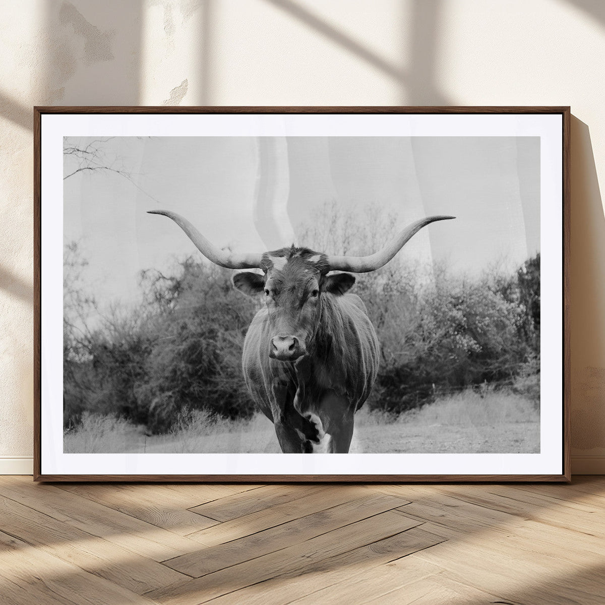 Longhorn Photography Wall Art Canvas Print – Framed Western