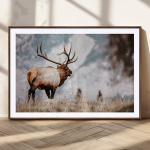 Elk Photography Wall Art Canvas Print – Framed Mountain