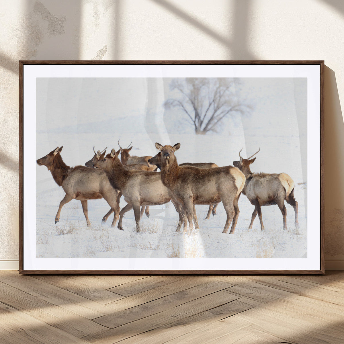 Winter Elk Scene Wall Art Canvas Print – Framed Wildlife