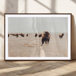 Bison Herd Wall Art Canvas Print, Framed Western Landscape