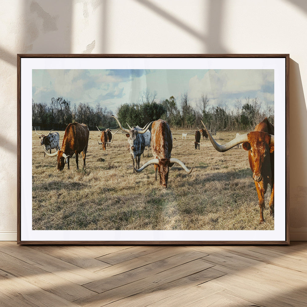 Texas Longhorns Wall Art Canvas Print – Framed Rustic Farm