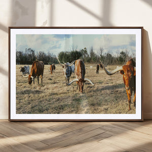 Texas Longhorns Wall Art Canvas Print – Framed Rustic Farm