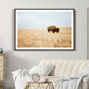 Buffalo Wall Art Canvas Print – Framed Western Wildlife