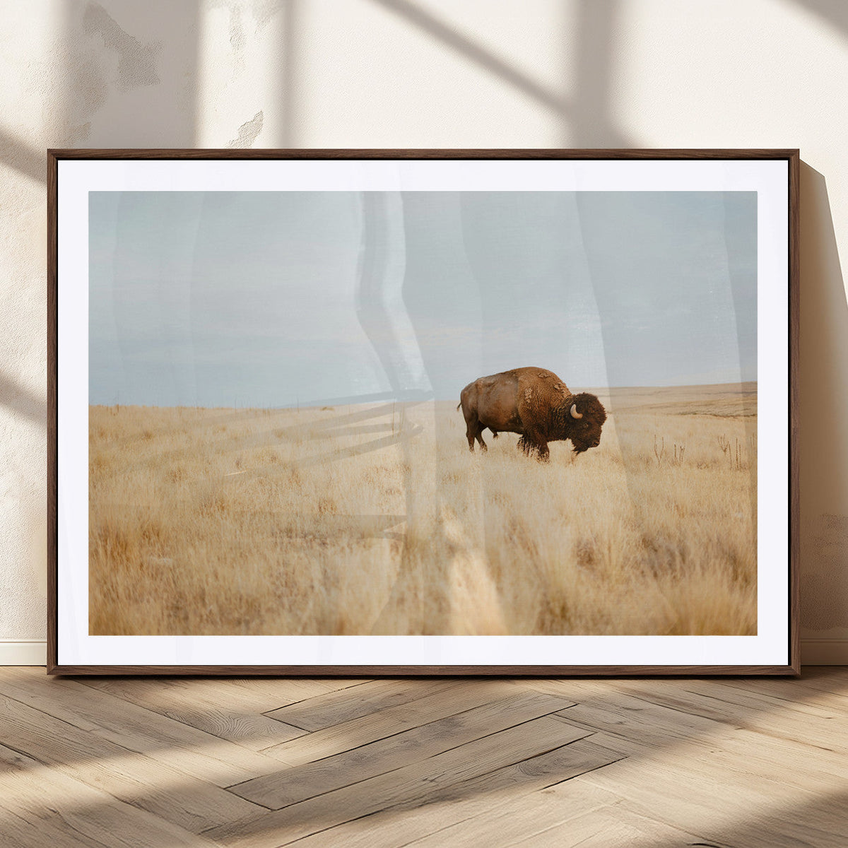 Buffalo Wall Art Canvas Print – Framed Western Wildlife