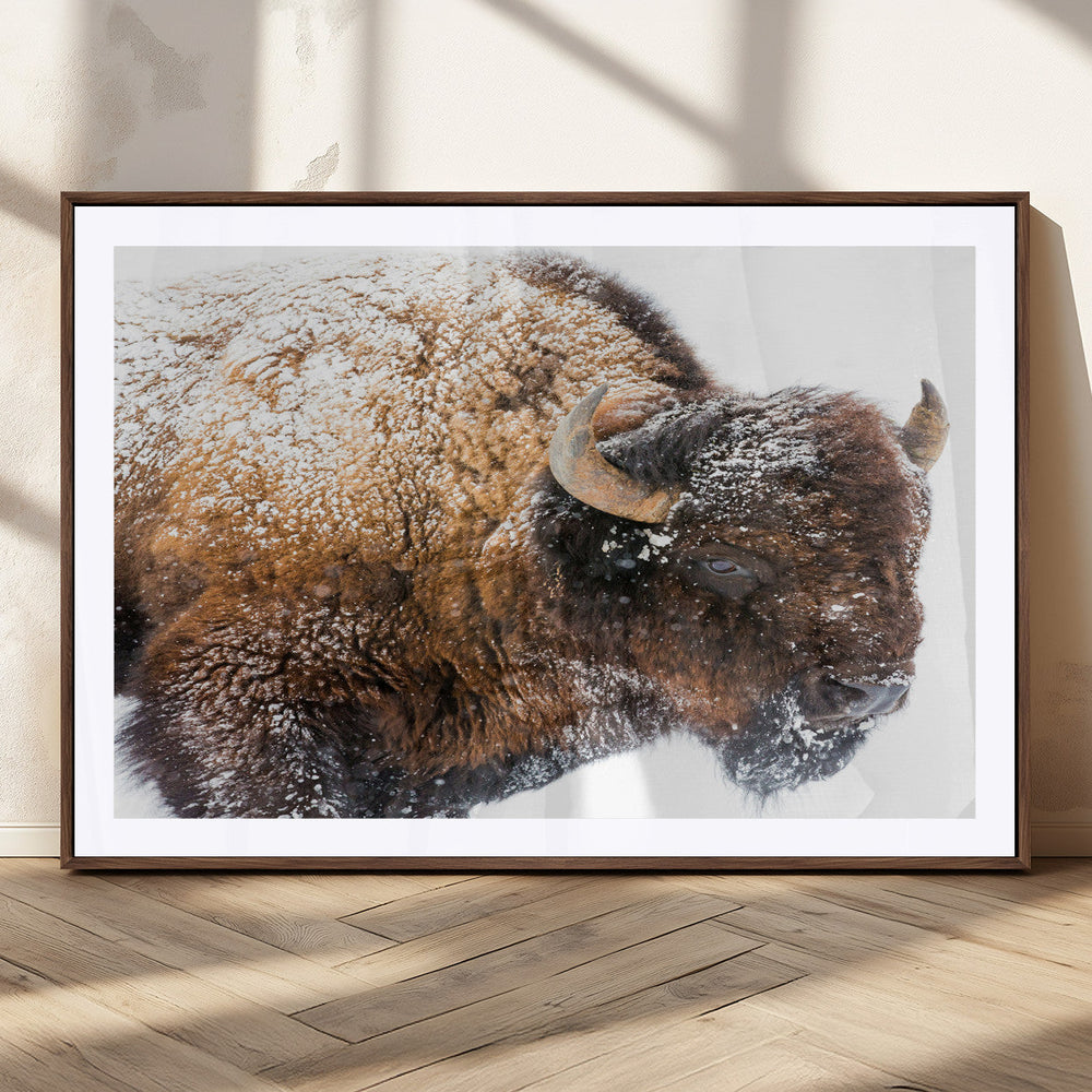 Snowy Buffalo Wall Art Canvas Print – Framed Rustic Lodge