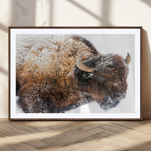 Snowy Buffalo Wall Art Canvas Print – Framed Rustic Lodge