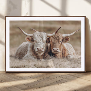 Couple Highland Cows Wall Art Canvas Print – Peaceful Meadow