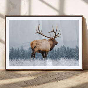 Majestic Elk Snowy Forest Wall Art Canvas Print – Winter
