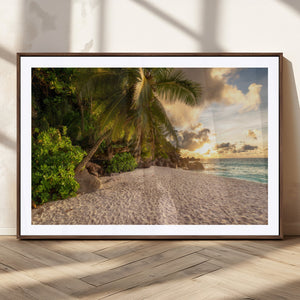 Tropical beach sunset, palm trees, white sand, ocean waves,