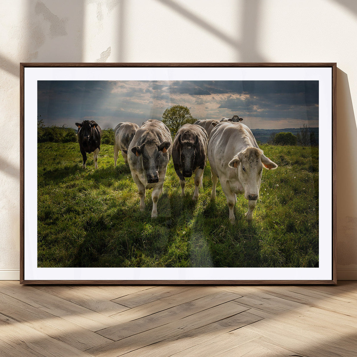 Grazing Cattle Herd Wall Art, Green Pasture Livestock Canvas