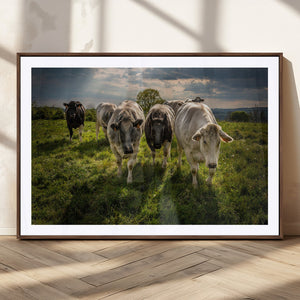 Grazing Cattle Herd Wall Art Canvas Print, Majestic Farm