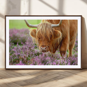 Highland Cow Wall Art Canvas Print – Framed Purple Flowers