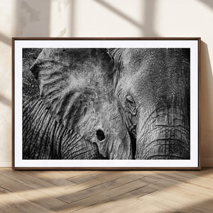 Wild Old Elephant Wall Art Canvas Print