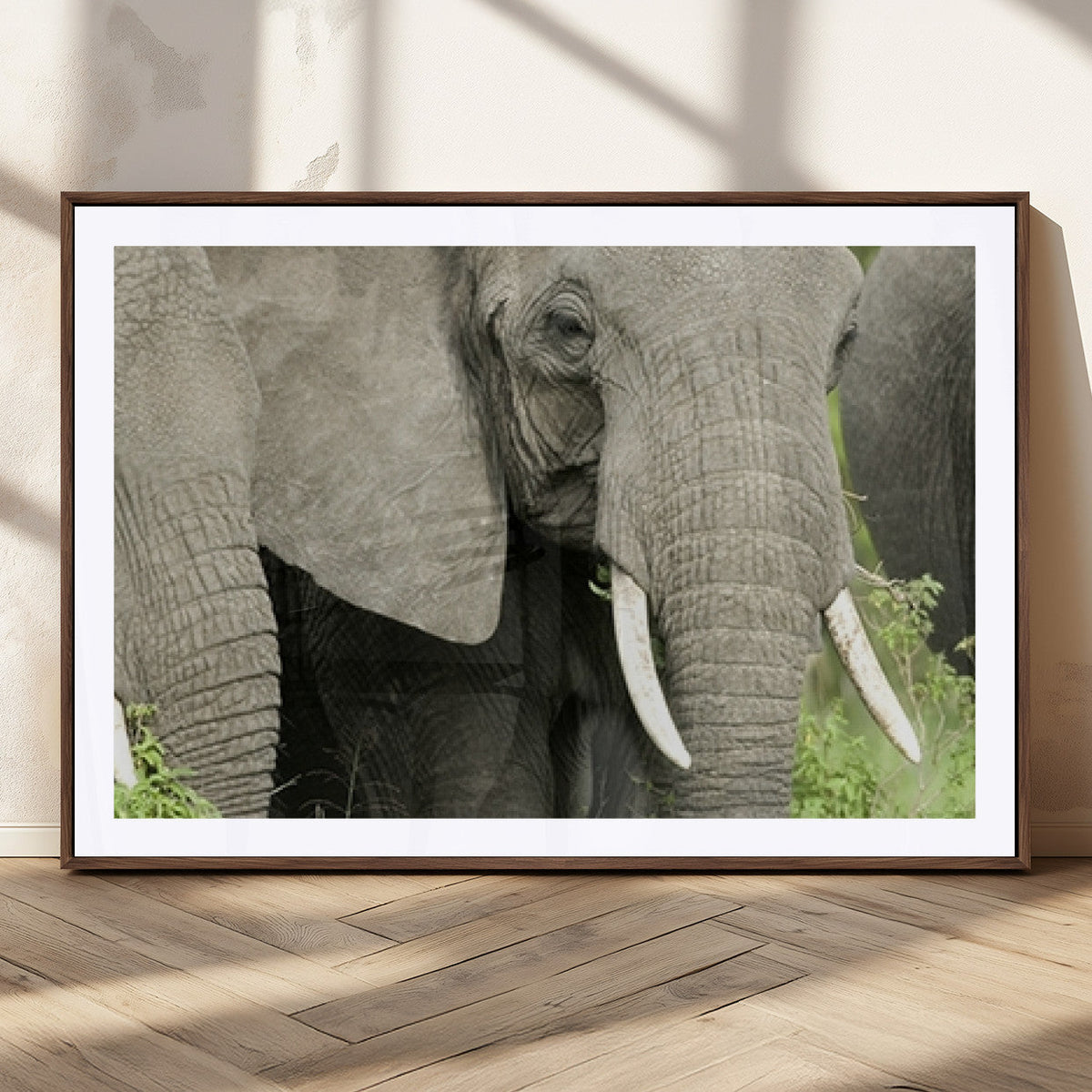 Wild Elephant Wall Art Canvas Print