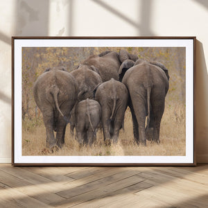 Wild Elephant Wall Art Canvas Print