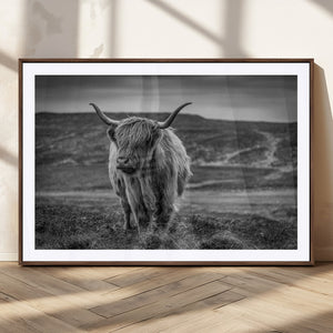 Fluffy Cattle Wall Art Print, Highland Cow Canvas, Framed