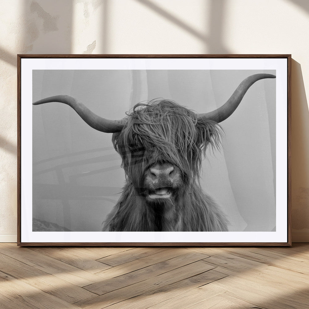 Texas Cow Wall Art Canvas, Texas Longhorn Cattle Canvas