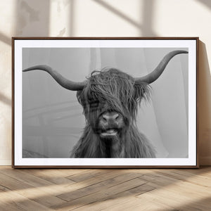 Texas Cow Wall Art Canvas, Texas Longhorn Cattle Canvas