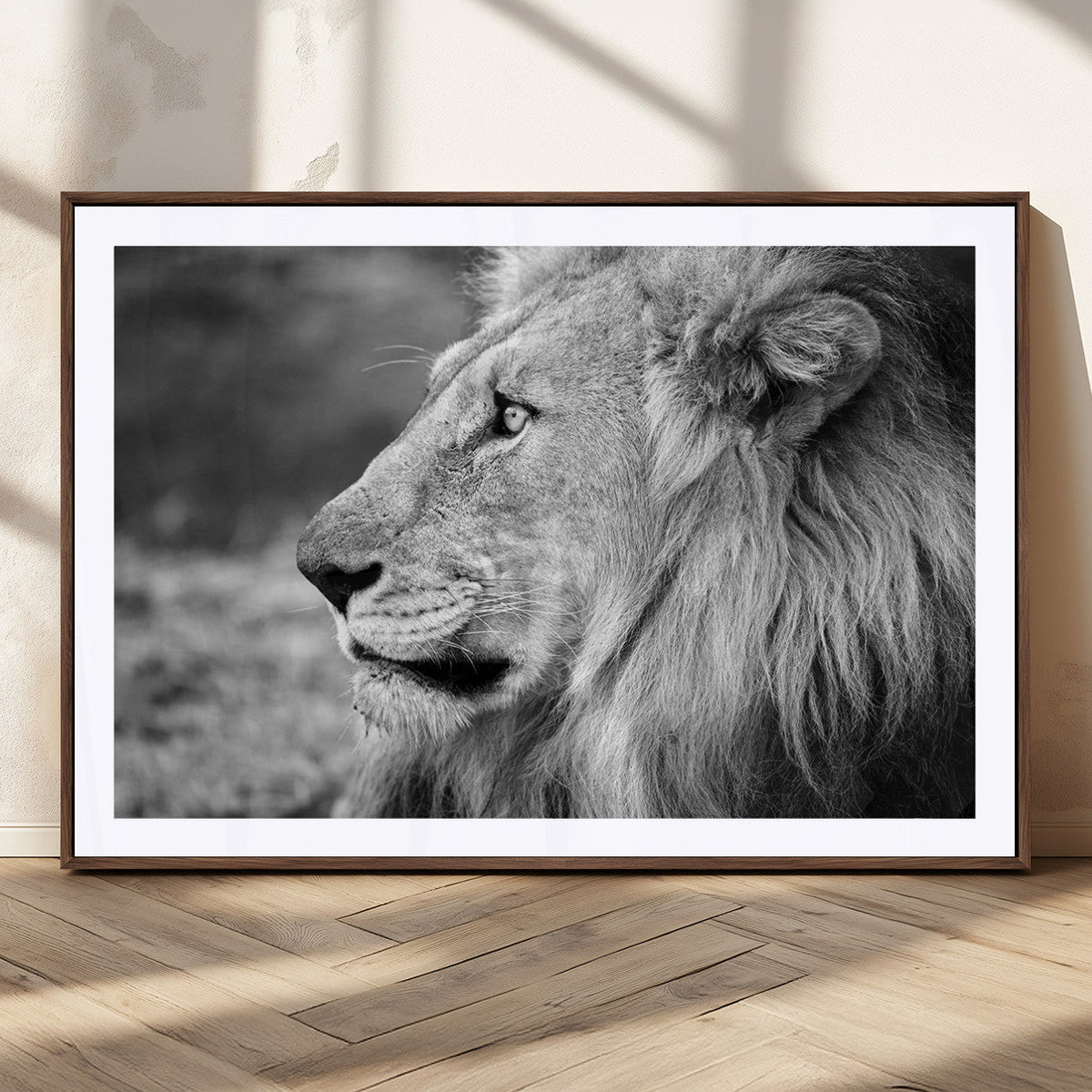 Lion Wall Art Canvas Print – Framed Majestic Wildlife
