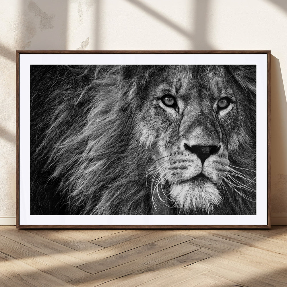 Black and White Lion Canvas Wall Art Print – Wildlife