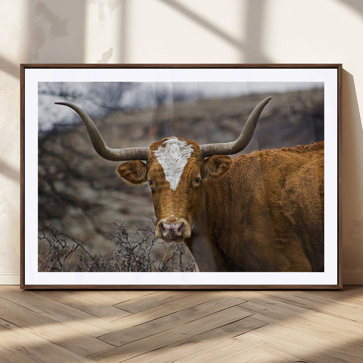 Texas Longhorn Canvas Wall Art - Longhorn Steer Canvas Wall