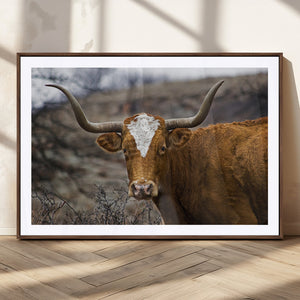 Texas Longhorn Canvas Wall Art - Longhorn Steer Canvas Wall