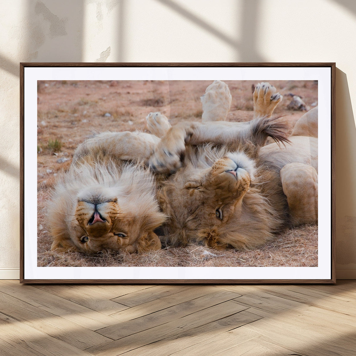 Lion Pair Wall Art Canvas Print – Framed Wildlife Scene with