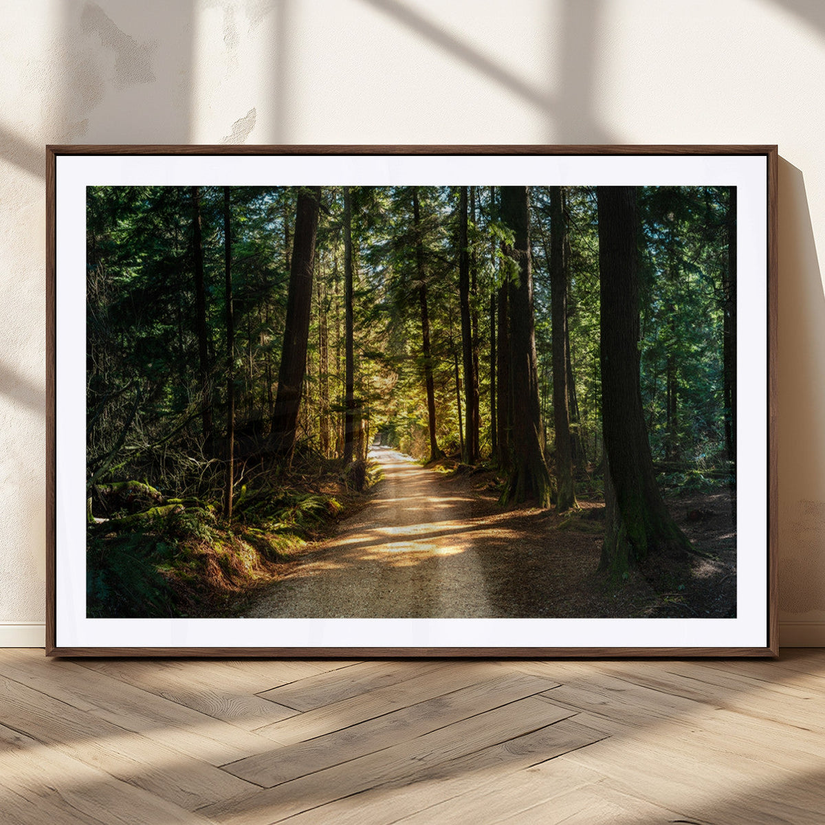Sunlit Forest Pathway Canvas Print | 3 Panel Large Nature
