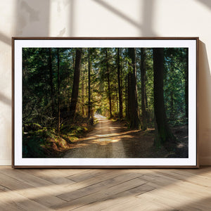Sunlit Forest Pathway Canvas Print | 3 Panel Large Nature