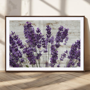Lavender Herb Wall Art Canvas Print