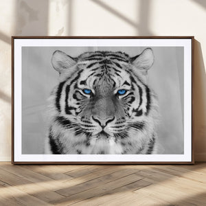 Black and White Tiger Wall Art Animal Canvas Print
