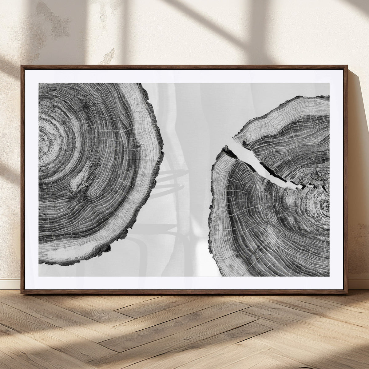 Abstract Large Tree Rings – Minimalist Black and White Wood