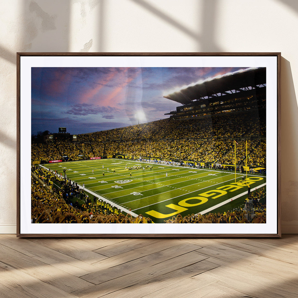 University of Oregon Ducks Football Team Print - Eugene