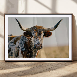Texas Bull Longhorn Wall Art Canvas Print for Farm House