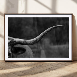 Cow Longhorn Wall Art | Black and White Print | Ready to