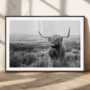 Scottish Highland Cow Wall Art | Black and White Canvas