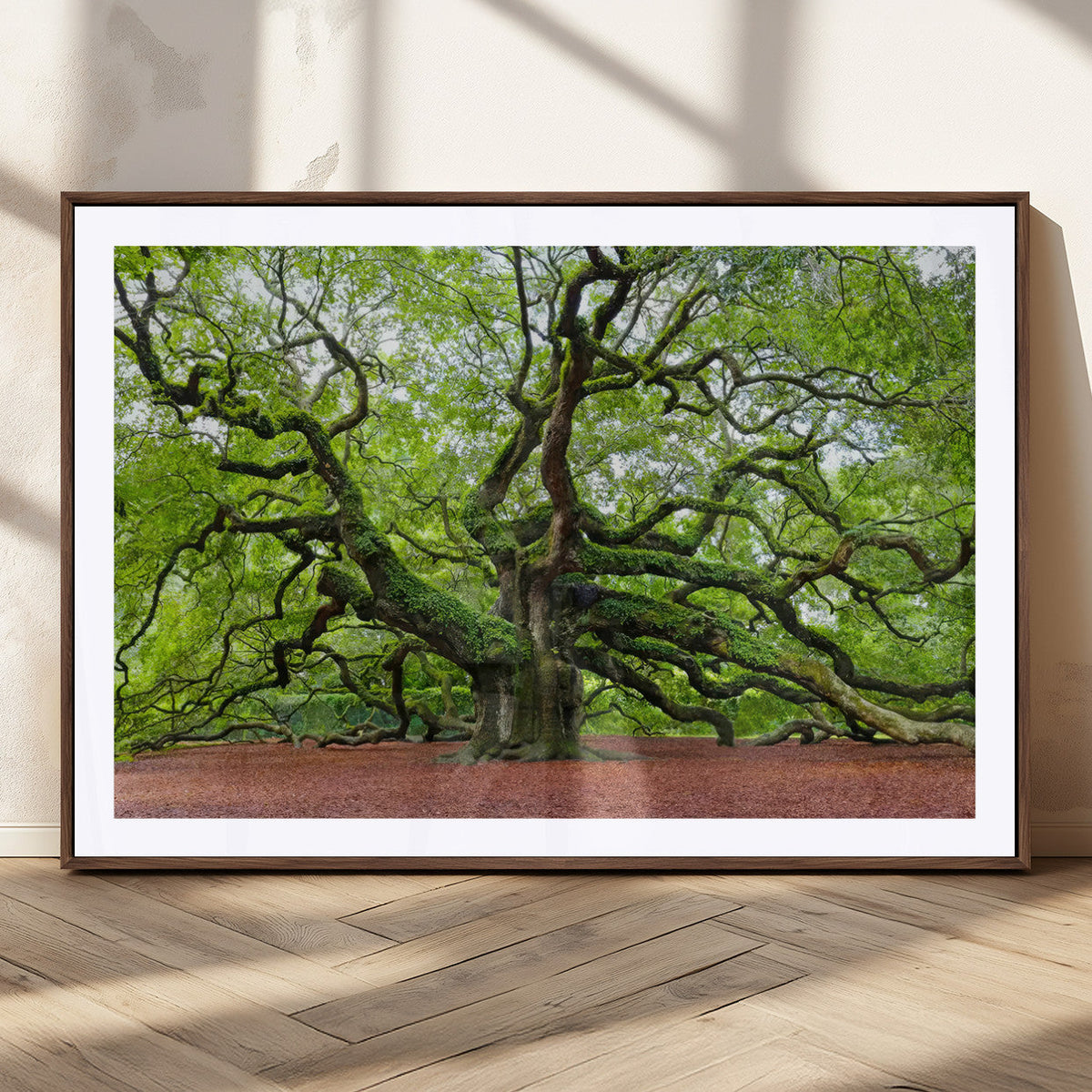 Framed Angel Oak Tree Wall Art - 3-Panel Canvas Prints,