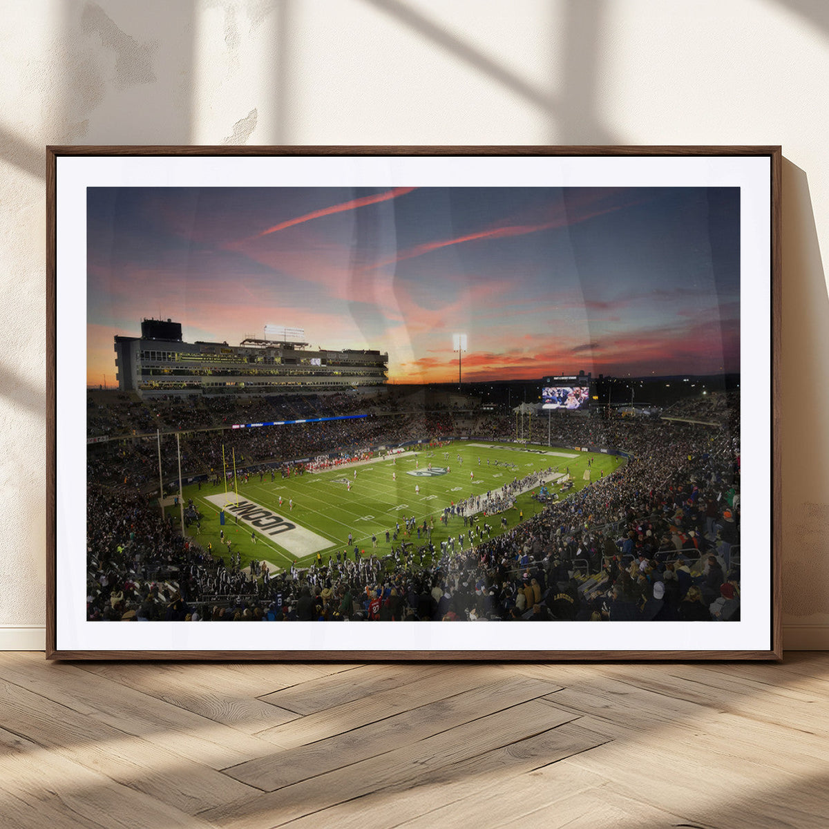 The University of Connecticut UCONN Huskies Football Team
