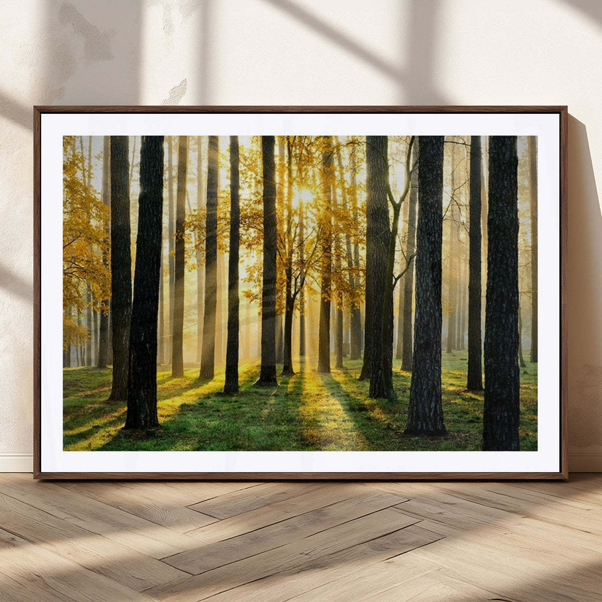 Sunlit Forest Wall Art Canvas Print – Large Framed Woodland