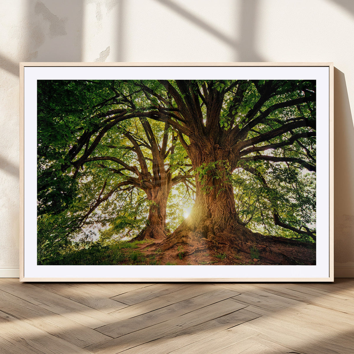 Majestic Ancient Tree Wall Art, NatureCanvas Print, Woodland