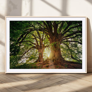 Majestic Ancient Tree Wall Art, NatureCanvas Print, Woodland