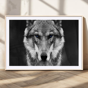 Black and White Wild Wolf Wall Art Canvas Print