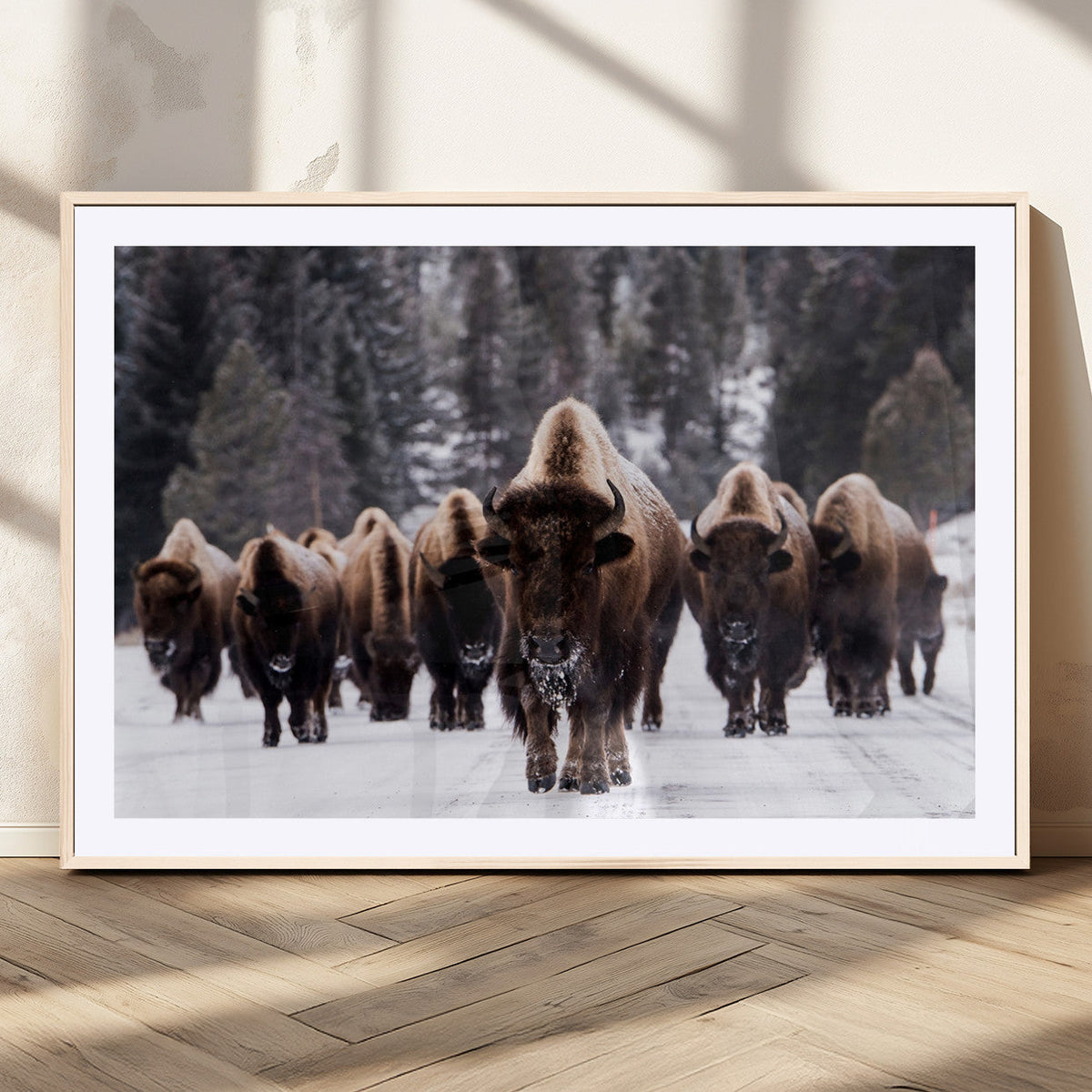 Bison Wall Art Canvas Print- Bison Herd Canvas Wall Art –
