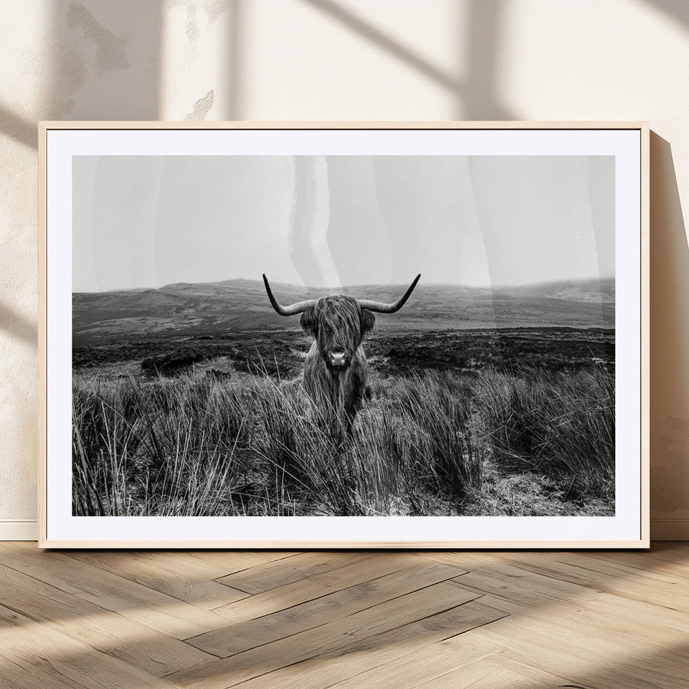 Black and White Highland Cow Canvas Wall Art, Longhorn