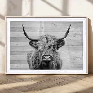 Scottish Highland Cow Cattle Art Print on Wood Background