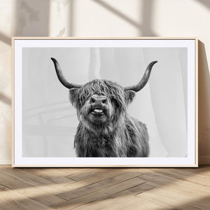 Fanny Scottish Highland Cow Cattle Art Print Farmhouse Wall
