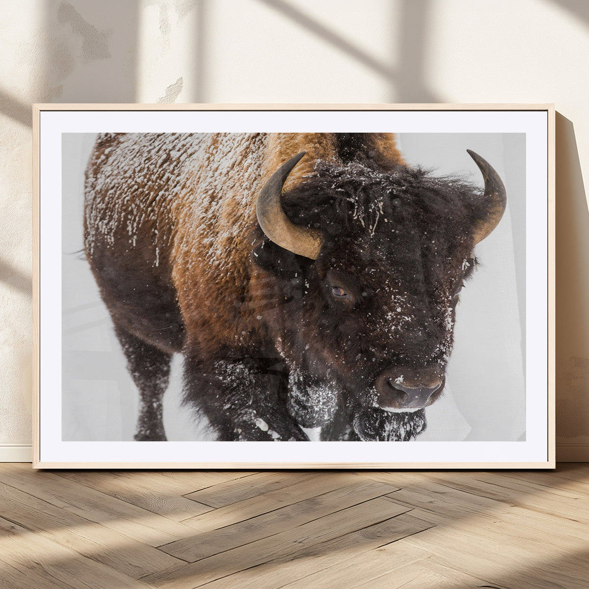 Bison Wall Art Canvas Print For Farmhouse, Wild Animal Wall